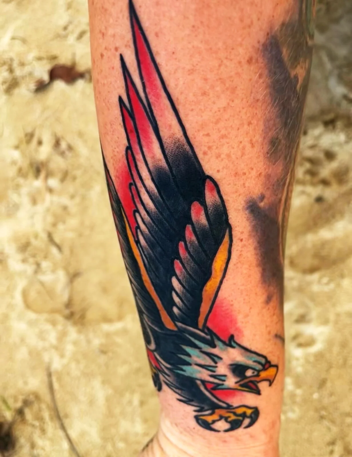 American Traditional diving eagle forearm tattoo by Tim Goodrich, Waikiki, Hawaii