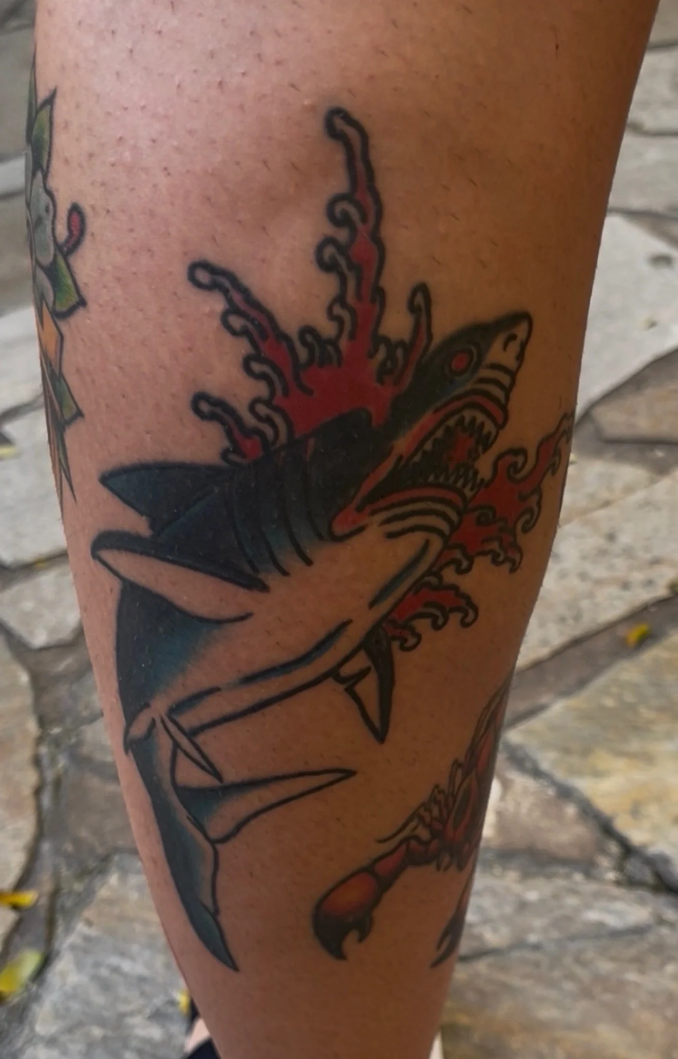 American Traditional color tattoo of a shark surging through red breaking waves with a dagger trailing below, on the calf, by Tim Goodrich at his Waikiki tattoo shop, Hawaii.