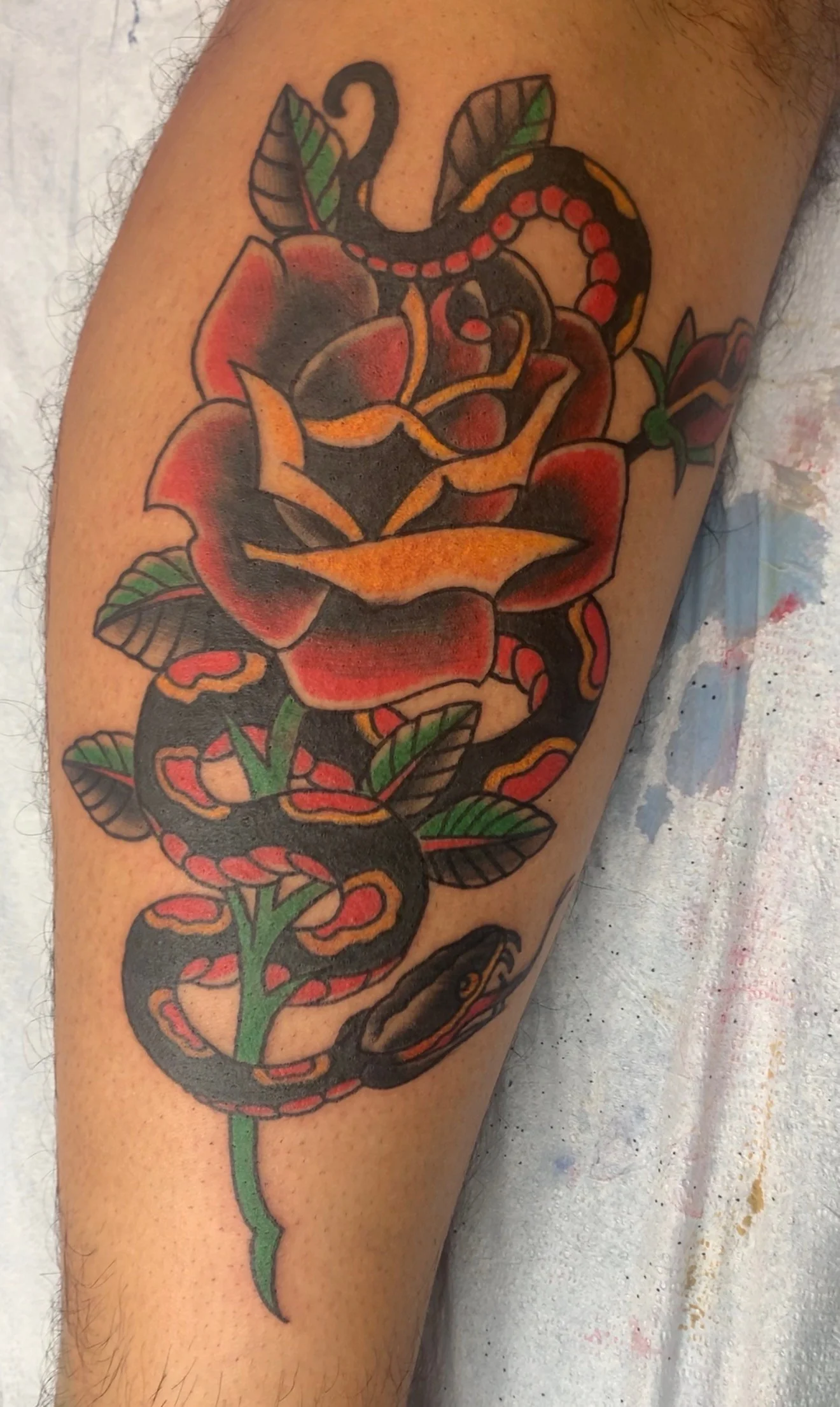 American Traditional color tattoo of a red and black snake coiled through a fully-bloomed Traditional rose on the calf, by Tim Goodrich at his Waikiki tattoo shop, Hawaii.